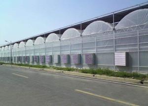 Wholesale Cooling Plastic Film Vegetable 10m Multi Span Greenhouse from china suppliers