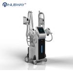 Professional Forimi cool sculpting technology body slimming weight loss
