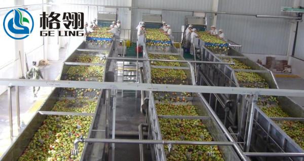 1-100ton Automatic Fruit Juice Processing Line Apple Juice 20000lph Beverage