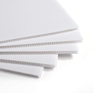Wholesale PP Corrugated Plastic Sheet Corflute Board Foldable Lightweight Customized Durable from china suppliers
