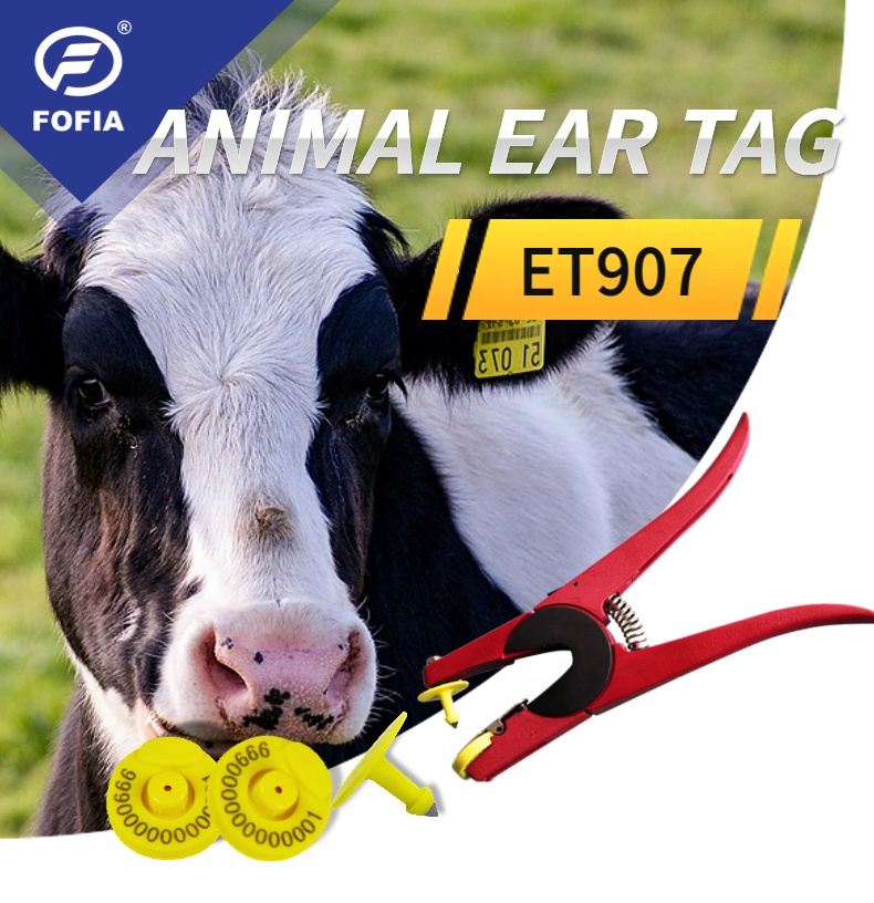 Full ICAR Certified RFID Electronic Ear Tags For Livestock Tracking
