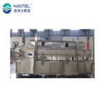 Automatic Industrial Frozen French Fries Production Line 50kg/H 100kg/H 500kg/H