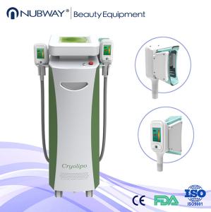 Wholesale 1800W Fat Reduction Cryolipolysis Machine , Cryolipolysis Cellulite Reduction Machine from china suppliers