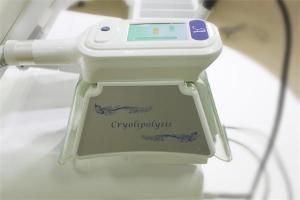 Wholesale Hot sale!!! Portable cryotherapy freeze fat reduction machine with Lipo from china suppliers