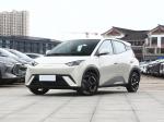 Free Version BYD Full Electric Car Warm Sun White 55KW Pure Electric Car