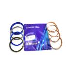 Hydraulic Cylinder Seal Kit DX140 ARM Seal Kit For Industrial Sealing Solutions