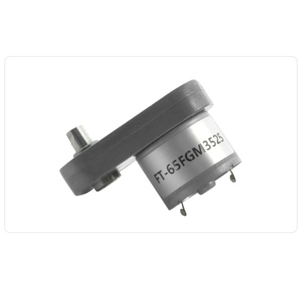 FT-65FGM3525 DC 3-24v High Torque Slow Speed Motor Customized For Home Appliances
