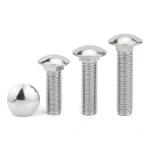 Pan Head Stainless Steel Screw Round Shape Carriage Head Screw M16