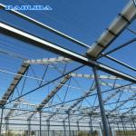Galvanised Walk In Multispan 5.3m Tunnel House Plastic Multi Span Greenhouse
