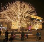 Darknessbreak Warm White Solar Sakura lishts 50 LED Blossom Flower String Light
