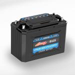 Deep Cycle RV Lithium Ion Battery Lifepo4 Battery 12.8 V 125AH