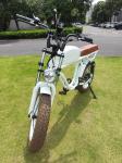 LCD Display Electric Bike with 48V Battery 750W 1000W Motor 7 Speed and Vintage