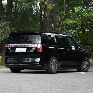 Zeekr 009 We Medium and Large MPV Car ISO14001 Max Power Kw 400 Pure Electric