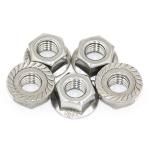 SGS Certified Stainless Steel Hex Flange Nut M7 M8 M10 304 Grade 6.8/ 8.8/ 10.9/