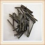 concrete nail/common nail/nail