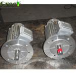 10KW 20KW 50KW 1000KW Low Rpm Permanent Magnet Generator 1000RPM Free Energy