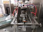 PLC Control Zipper Bag Rotary Packing Machine Dehydrated Fruit Vegetable