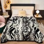 2-3KG Warm Soft Comfortable Korean Double Player Raschel Blanket with Warmth