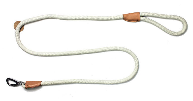 walking your cat on a leash