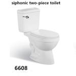Bathroom Floor Mounted S-trap 250mm/P-trap 180mm Roughing-in Washdown Two-piece