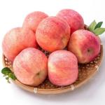 Automatic Apple Processing Equipment Apple Juice Production Line 2000kg-5000kg