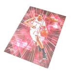Scratch Proof 0.5mm 5D Lenticular Printing Poster For Promotion