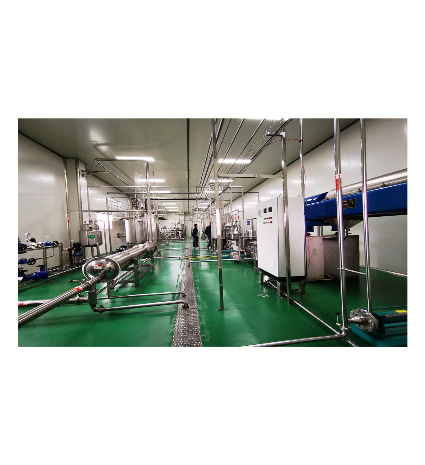 PLC Controlled Fruit Processing Machinery With 1 - 100t/H Capacity Input