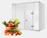 1160mm Fruit Cold Storage Room 100mm Panel Commercial Freezer Room