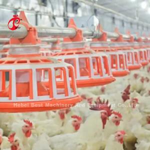 Wholesale Broiler Poultry Farming 45 Chicken Feeding Line Drinking Line Automatic Equipment Rose from china suppliers