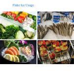 Water Cooling Condensation Way 1000kg Flake Ice Making Machine with Ice Storage