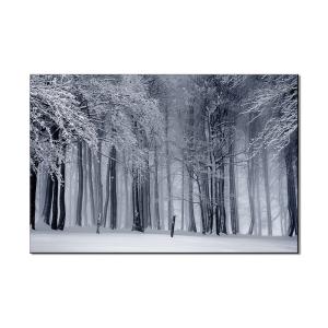 Wholesale Natural Abstract Canvas Wall Art Set Canvas Prints / Oil Painting For Home Decor from china suppliers