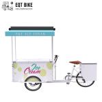 EQT 138L Fridge Ice Cream Tricycle Cargo Bike For Sale High Quality Front