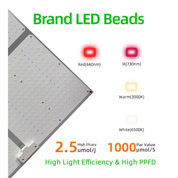 High PPFD Grow Lights 100W 200W 400W 600W Full Spectrum LED Light Panel For Plant Growth