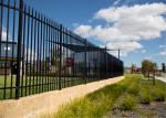 Security Fencing Spear Top - 1800 x 2400 Black Panel