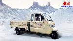 800cc Popular Model Three Wheel Cargo Tricycle Max Champagne Body for Well Sell