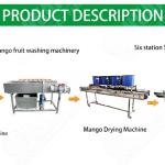 Dehydrator Vegetable And Fruit Washing Machine Air Bubble Washing Machine