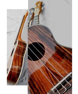 Wholesale 21&quot; concert Ukulele Ebony solidwood four string guitar high quality AGUL19 from china suppliers