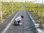 cheap price agricultural membrane woven geotextile/ heavy duty weed barrier