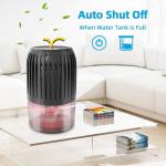 Portable Mini Air Dehumidifier