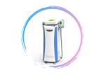 2019 Hot Sell fat Freezing Beauty Machine Cryolipolysis slimming Machine