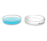 Lab Suspension 60 X 15 Mm Petri Dish Cell Culture TC Treated Non Treated Petri