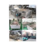 Potato Brush Washing Machine Cheap