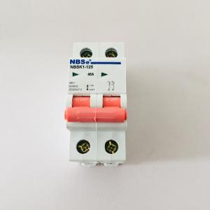 Wholesale NBSK1-125 Circuit Breaker Disconnect Switch , Circuit Disconnect Switch 40A from china suppliers