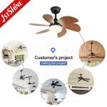 1stshine/OEM Logo 6 Blades LED Light Kit Residential BLDC Ceiling Fan with 2-