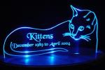 12cm Kitten Led Edge Lit Sign Custom Acrylic Edge Lit Signs Purple