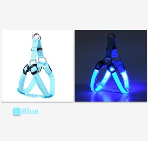 Wholesale LED Night Dog Harness Vest Rechargeable USB Reflective Design Adjustable Leash Outdoor Walks from china suppliers