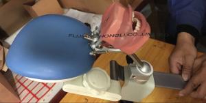 China Dental teaching Manikin head simulator / Phantom head pratical training on sale