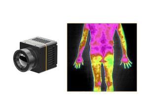 Wholesale Non Contact Thermography Uncooled Thermal Imaging Module 384x288 17μM from china suppliers