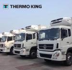 Trailer Transport Thermo King Refrigeration Units Reefer For Perishable Goods