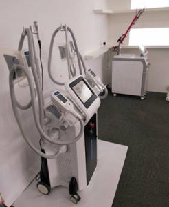Wholesale CE approved professional clinic use 4 sizes cryo handles working together cryolipolysis apparatus from china suppliers